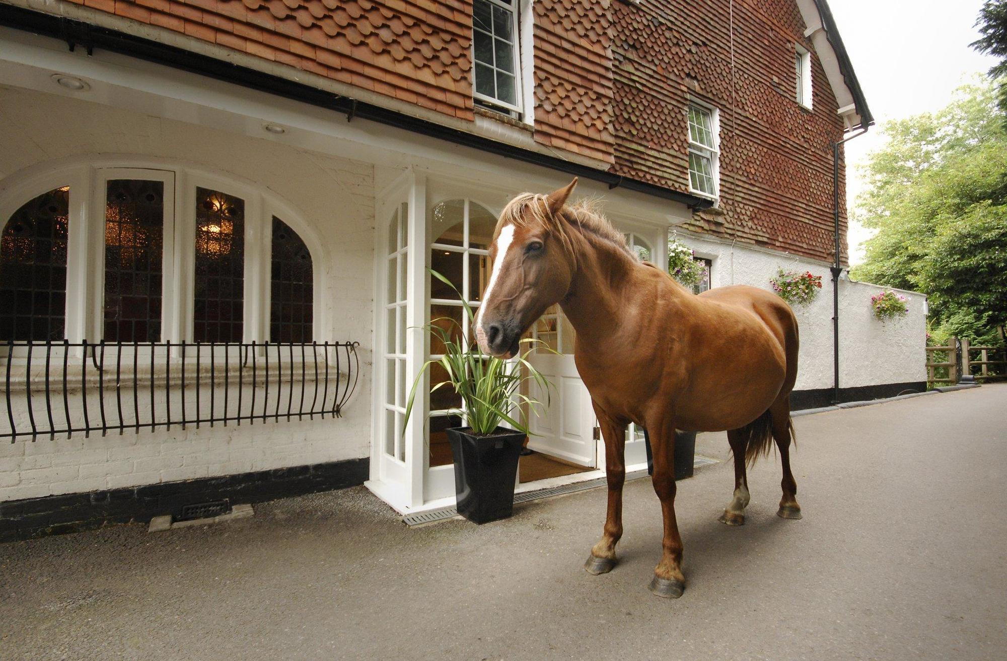 Moorhill House Bed & Breakfast Bed & Breakfast Burley Exterior photo